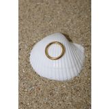 NOBLE GETTO Piercing Cerrahi Çelik Piercing Klipsli Kıkırdak Septum Tragus Conch Helix Gold Renk Klasik Halka