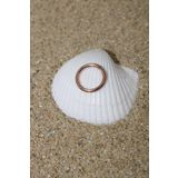 NOBLE GETTO Piercing Cerrahi Çelik Piercing Klipsli Kıkırdak Septum Tragus Conch Helix Rose Renk Klasik Halka