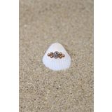 NOBLE GETTO Piercing Cerrahi Çelik Piercing Zirkon Taşlı Kıkırdak Tragus Conch Helix Rose Renk Tek Taş Altı Top