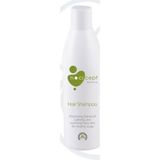 Nocicept Balanced Hair 300 ml Şampuan