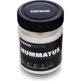 Nocte Nummatus Paçuli & Vanilya Kokulu Soya Mum - Çok Renkli - Genel