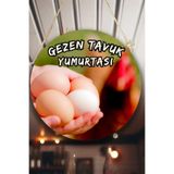 Nod Gezen Tavuk Yumurtası Dükkanı Duvar, Kapı, Çift Taraflı Askılı Karşılama Tabela, Günlük Yumurta Süs Bej2 30 x 50
