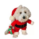 Noel Baba Köpek Kostümü S Beden (4-6 Kg)