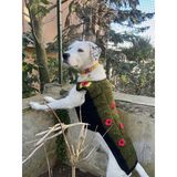 Noisy Paws Çiçek Desenli Giyilebilir Köpek Battaniyesi (Yeşil Siyah)