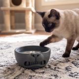 Nokta Labs Komik Yüz Ifadeli Kedi Mama Kabı - Kedi Severlere Özel Tasarım Hediye - The Moody Meow Bowl