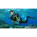 Nokta Pulsedive Scuba Ikili Pointer Set Su Altı Ve Kara El Dedektörü Resmi Bayi Mega Dedektör