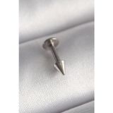 Noname 316L Çelik Gümüş Renk Çivi Model Piercing