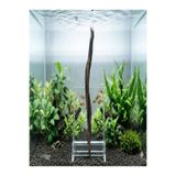 nonamepetshop FLAME WOOD AKVARYUM VE TERARYUM DOĞAL KÖK DEKORU M BOY 100 GR (30 CM 1/2 PARÇA)