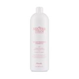 Nook Nectar Color Renk Koruyucu 1000 ml Şampuan