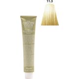 Nook Origin Color Profesyonel Saç Boyası 100ml - Sıcak Ekstra Açık Altın Platin (11.3- IŞILTILI DORE) - Platin Dore