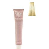 Nook Virgin Color Amonyaksız Profesyonel Saç Boyası 100ml - Ekstra Açık Altın Platin/Işıltılı Platin(11.3-ALTIN PLATIN) - Ekstra Platin Sarı Altın 11.3