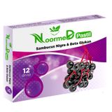 Noormed 12 Adet Pastil