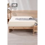 Nordqueen Ranforce Pamuk Tek / Çift Kişilik Lastikli Çarşaf - 200x200 - Ekru