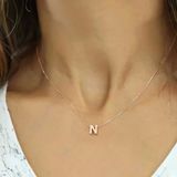 Norino 925 Ayar Gümüş Rose 3 Boyutlu N Harf Kadın Gümüş Kolye