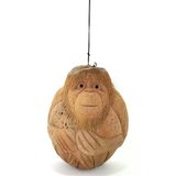 Norino Coconat Maymun Büstü