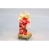 Norino Fanus Gül 19/10Cm Led Işıklı Cam Fanuslu Hediyelik