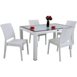 Norino Mandella Elit Rattan 90X150 4 Kişilik Elit Sandalye Camlı Masa Takımı Beyaz - BELİRTİLMEMİŞ