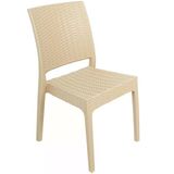 Norino Mandella Elit Rattan Sandalye (6 Adet) Çölbeji