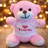 Norino Pembe I Love You Tasarım Tişörtlü Ayıcık