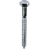 Norm M6X100 Trifon Vida - 10 Adet
