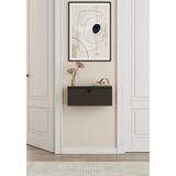 Normadia 50 cm Mdf Duvara Monte Kapaklı Dolap, Şık ve Fonksiyonel Tasarım - Altın - Gri