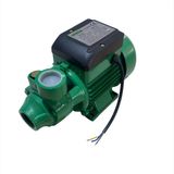 Nortek Neron 0.5hp 1" Çıkışlı Santrifüj Su Pompası