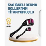 Northcity 0.25MM Titanyum Dermaroller - Evde Cilt Gençleştirme ve Yenilenme Cihazı