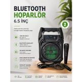 Northcity 10W Bluetooth Hoparlör Mikrofonlu Taşınabilir Ses Sistemi FM Radyo USB SD Kart TWS Özellikli - Kablosuz Müzik Deneyimi