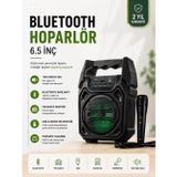 Northcity 6.5 İncih Bluetooth Hoparlör Mikrofonlu Taşınabilir Ses Sistemi