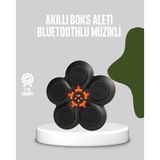 Northcity Akıllı Müzikli Boks Makinesi - Bluetooth Hedefli Ev Fitness Aleti