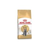 Northcity British Shorthair Adult Yetişkin Kedi Maması 2 kg - Kürk Sağlığı ve Dengeli Beslenme