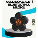 Northcity Ev Tipi Akıllı Boks Duvar Paneli - Bluetoothlu Reflex Geliştirme Cihazı - Siyah