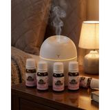 Northcity Manuel Süt Pompa - Bpa Free, 180ML Kapasiteli, Gece Kullanımlı ve Ergonomik Anne Ürünü - Beyaz - 5 Esans Hediyeli
