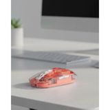 Northcity Sessiz Tıklamalı Şeffaf Mouse: Kablosuz Bluetooth ve USB Uyumlu Ergonomik Tasarım - Şeffaf Bluetooth+USB Sessiz Mouse