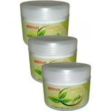 Northcity Vücut Agrılarını Gideren Bamya Tohumu Bakım Ve Mesaj Kremi 100 Ml X 3 Adet