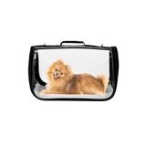 northern fashion Fly Bag Kedi Köpek Taşıma Çantası Kuş Taşıma Çantası Evcil Hayvan Taşıma Çantası