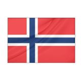 Norvec Bayragi (30X45 Cm)