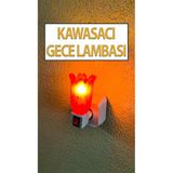 Nostaljik Gece Lambası Kendinden Fişli Çıt Çıt Anahtarlı 7 Watt Ampullü Çiçek Model