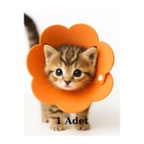 Nostaljik Lezzetler Kedi Yakalık Yumuşak Özel Teknofoam (3 Beden Ayarlanabilir)
