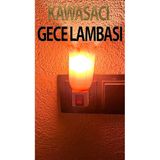 Nostaljik Pembe Gece Lambası, Flaşlı, Çıt Çıt Anahtarlı, 7 Watt Ampüllü, Şık Ve Kullanışlı