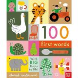 Nosy Crow 100 İlk Kelime Kitabı Edward Underwood 0-2 Yaş Grubu