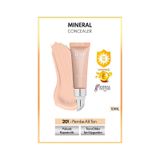 Note Cosmetique Mineral Concealer Spf 15 Yoğun Kapatıcı Metal Başlıklı Göz Altı Kapatıcısı - 201 Açık