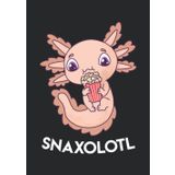 Notizbuch A5 dotted, gepunktet, punktiert mit Softcover Design: Snaxolotl Popcorn Kino Film Fan Axolotl: 120 dotted (Punktgitter) DIN A5 Seiten