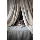 Notizbuch | Tagebuch | Notebook | Katze auf Bett | cat on bed | ca. DIN A5 (6 x 9 Zoll = 14,24 x 22,86 cm) | 120 Seiten | liniert | lines | Linien