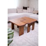 NotMono İç İçe Masif Ahşap Orta Sehpa Takımı | 2'li Dikdörtgen Ceviz Tonu Modern Tasarım Sehpa 110x60