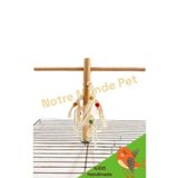 NOTREMONDEPET Ahşap Ipli T Kuş Tüneği