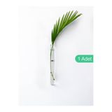 Noue Store Mıknatıslı Dekoratif Cam Vazo Bitki Köklendirme Için Minimal Buzdolabı Mini Vazo Saksı 1 Adet 16cm