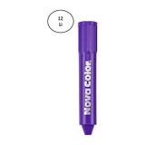 Nova Color NC-208 12'li Mor Yüz Boyası