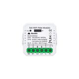 Novato Çift Çıkışlı WiFi Akıllı Röle ( Tuya, Smart Life Uyumlu )
