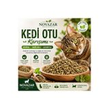 Novazar Kedi Otu Tohumu – Buğday • Arpa • Yulaf Karışımı 100GR